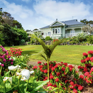 84 Cormier Pike Apt. 054 - Balgowlah heights