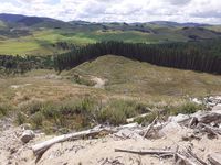 photo property thumbnail