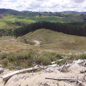 84 Cormier Pike Apt. 054 - Balgowlah heights