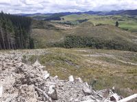 photo property thumbnail