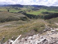 photo property thumbnail