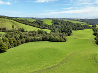 photo property thumbnail