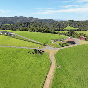 84 Cormier Pike Apt. 054 - Balgowlah heights