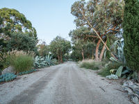 photo property thumbnail