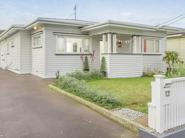 12 Brewster Avenue Mount Albert
