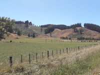 photo property thumbnail