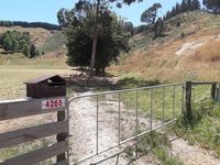 photo property thumbnail