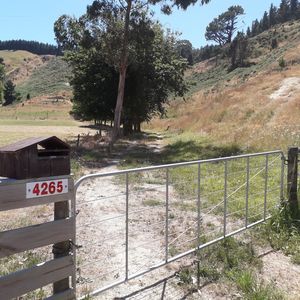 84 Cormier Pike Apt. 054 - Balgowlah heights