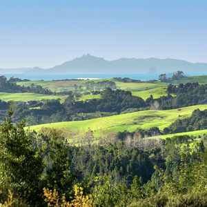 84 Cormier Pike Apt. 054 - Balgowlah heights