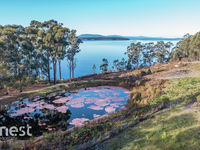photo property thumbnail