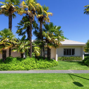 84 Cormier Pike Apt. 054 - Balgowlah heights