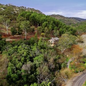 84 Cormier Pike Apt. 054 - Balgowlah heights