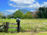 photo property thumbnail