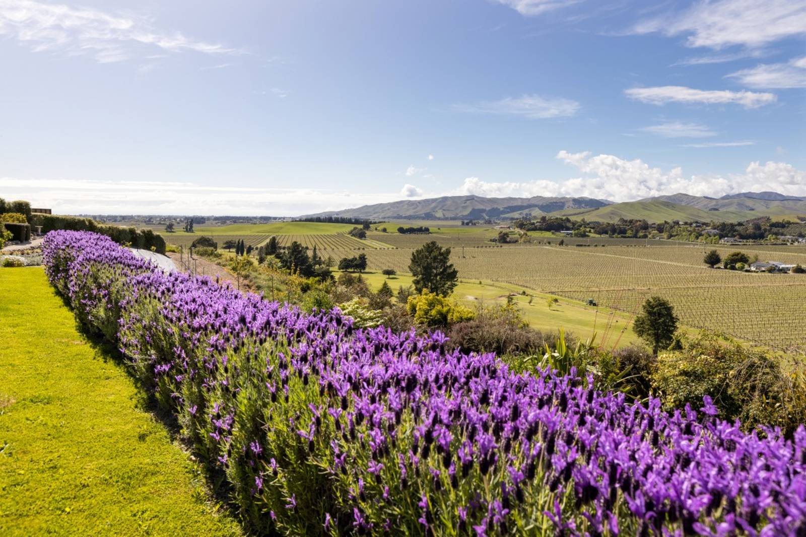 129 Marlborough Ridge Drive, Fairhall, Blenheim 3 Bed House Price