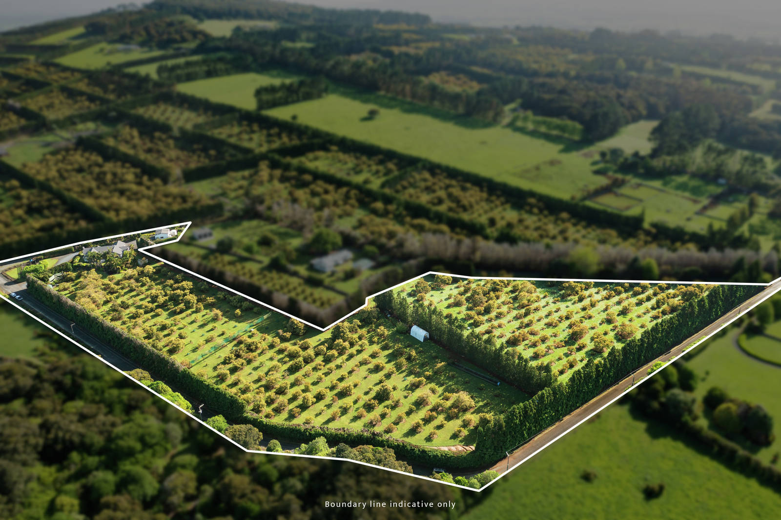 122 Norris Road, Maungatapere 5 Bed Lot For Sale