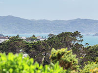 photo property thumbnail