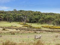 photo property thumbnail