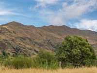 photo property thumbnail