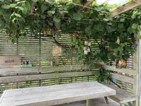 photo property thumbnail