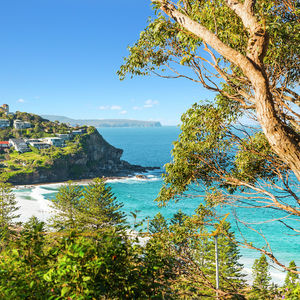 84 Cormier Pike Apt. 054 - Balgowlah heights