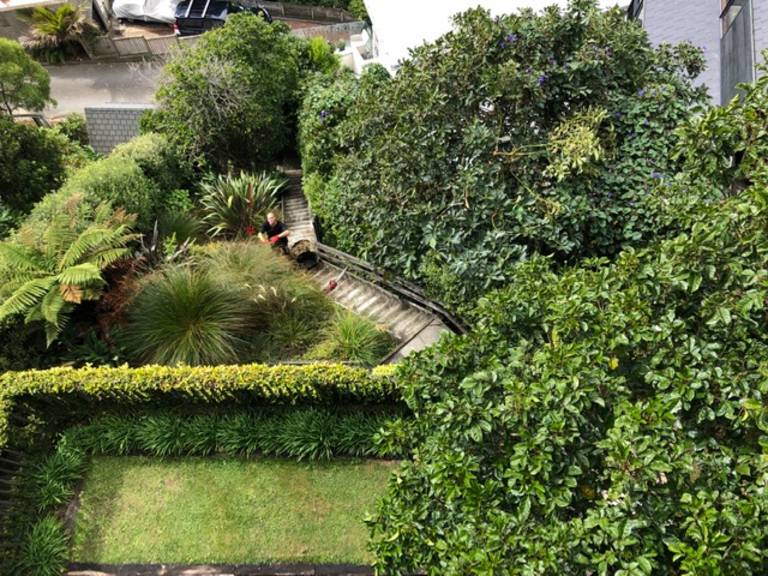 5 Bayview Terrace Oriental Bay