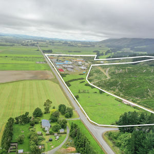 84 Cormier Pike Apt. 054 - Balgowlah heights