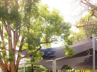 photo property thumbnail