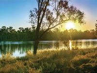photo property thumbnail