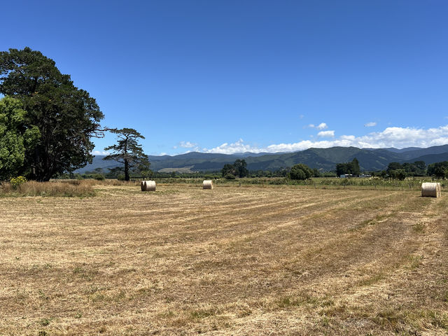 136 Lincoln Road Carterton