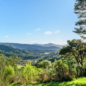 84 Cormier Pike Apt. 054 - Balgowlah heights