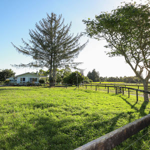 84 Cormier Pike Apt. 054 - Balgowlah heights