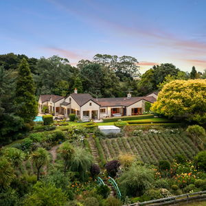 84 Cormier Pike Apt. 054 - Balgowlah heights