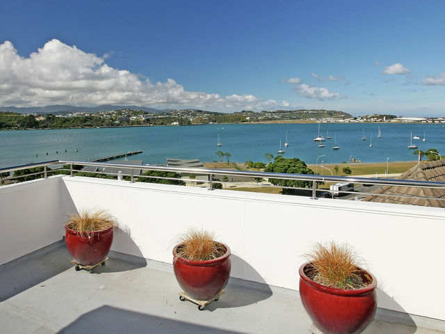 380b Evans Bay Parade Hataitai