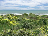 photo property thumbnail