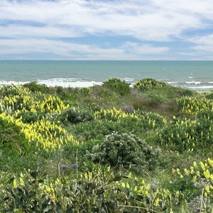 84 Cormier Pike Apt. 054 - Balgowlah heights