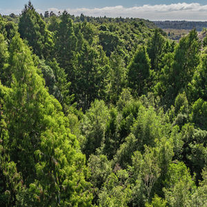 84 Cormier Pike Apt. 054 - Balgowlah heights