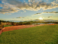 photo property thumbnail