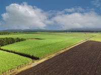 photo property thumbnail