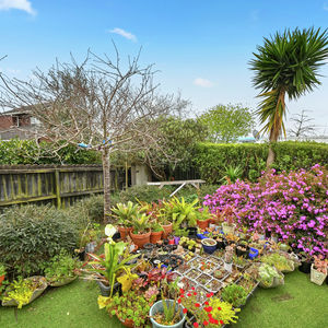 84 Cormier Pike Apt. 054 - Balgowlah heights