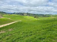 photo property thumbnail