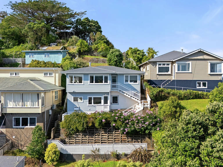 100 Rakau Road Hataitai