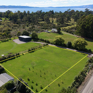 84 Cormier Pike Apt. 054 - Balgowlah heights