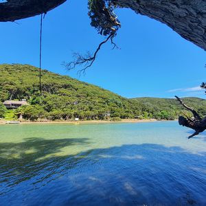 84 Cormier Pike Apt. 054 - Balgowlah heights