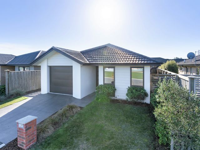 17 Rosamond Way Rolleston