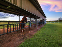 photo property thumbnail