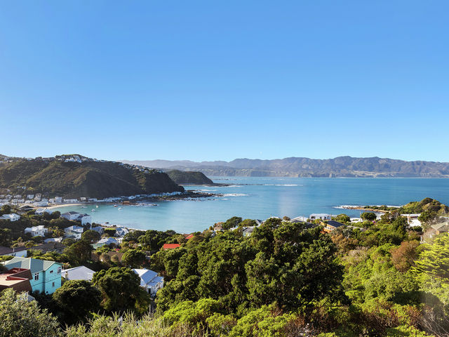 8/52 High Street Island Bay