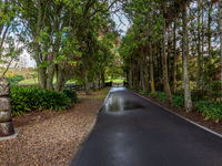photo property thumbnail