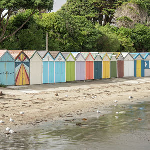 84 Cormier Pike Apt. 054 - Balgowlah heights