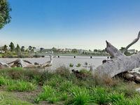 photo property thumbnail