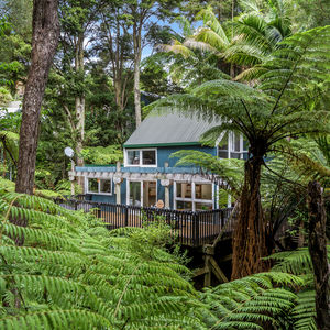 84 Cormier Pike Apt. 054 - Balgowlah heights